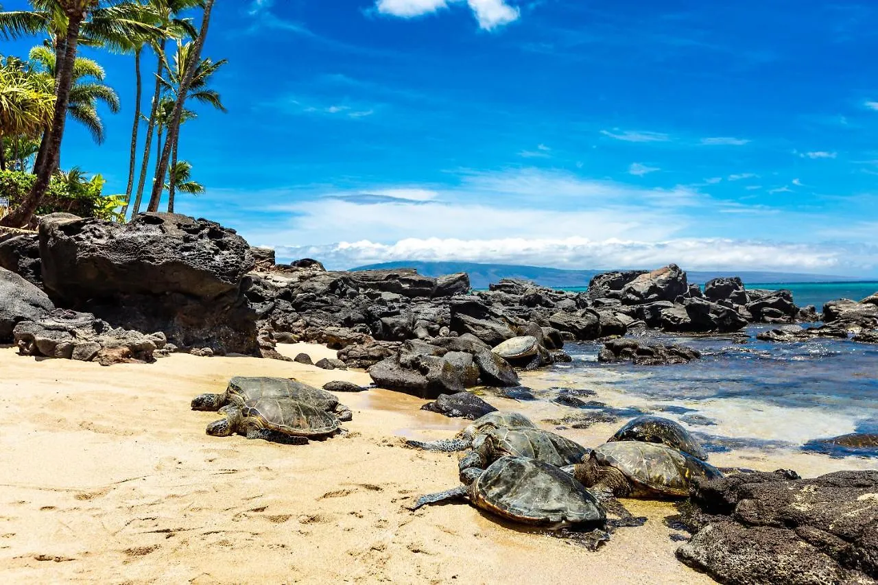 Mahina Surf 205 Villa Kahana United States